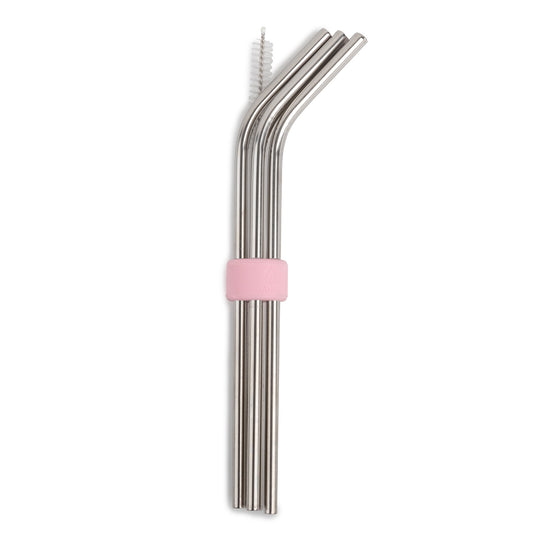 set-of-8-stainless-steel-reusable-straws-and-silicone-straw-holder-s8 26310_01_1f9569b0-07fb-47d7-ab82-84ddca6251c1.jpg